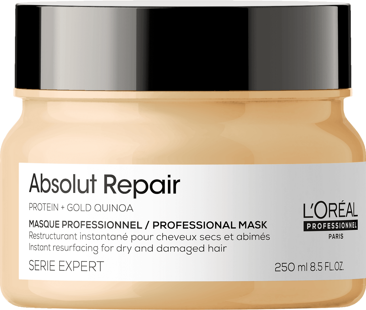 L'Oreal Serie Expert Absolut Repair Resurfacing Professional Mask 250ml