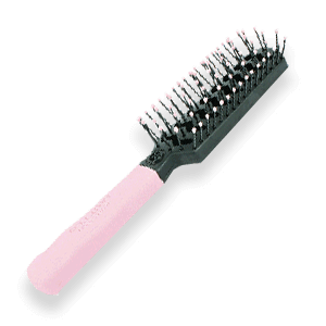 Brush